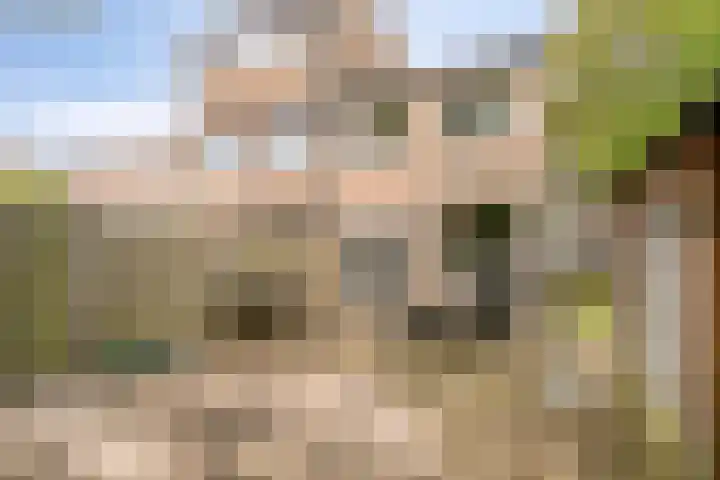 Goethelaan 156 Venlo thumbnail 27