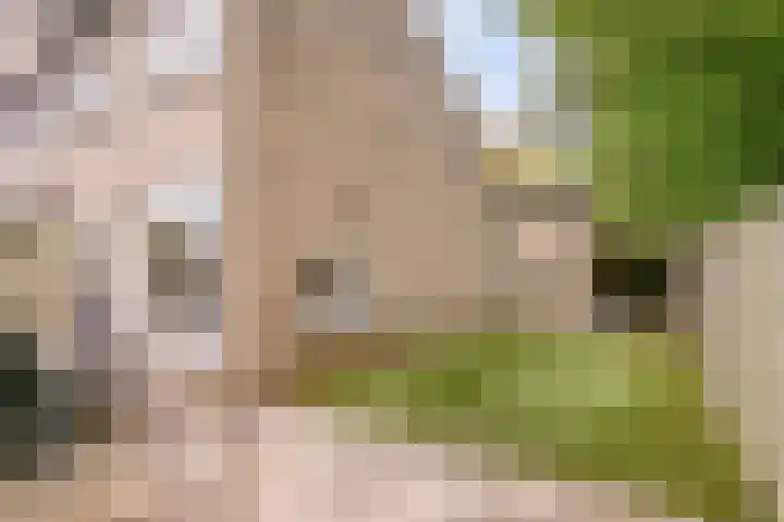 Goethelaan 156 Venlo thumbnail 30