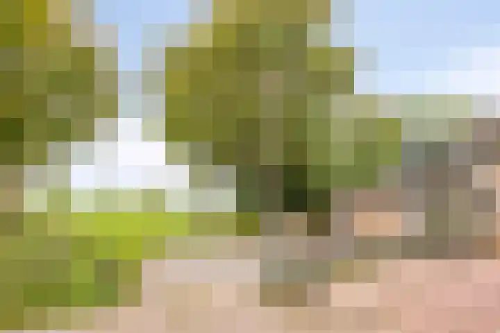 Goethelaan 156 Venlo thumbnail 32