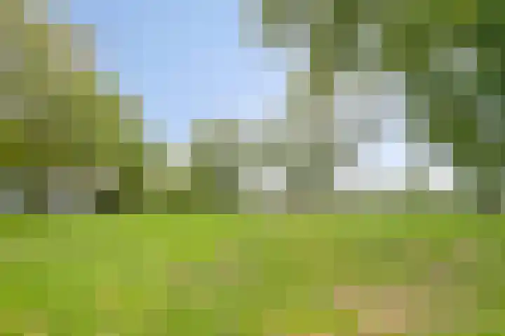 Goethelaan 156 Venlo thumbnail 35