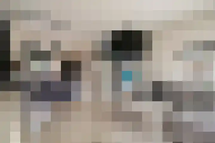 Goethelaan 156 Venlo thumbnail 8
