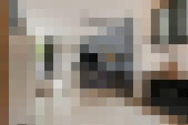 Goethelaan 156 Venlo thumbnail 9