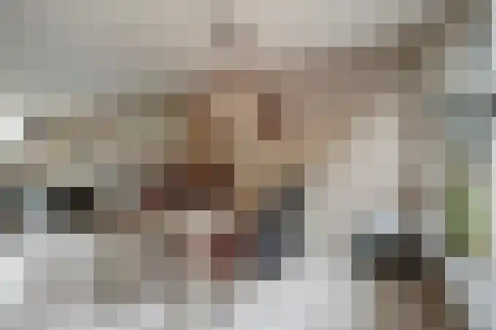 Goethelaan 23 Venlo thumbnail 6