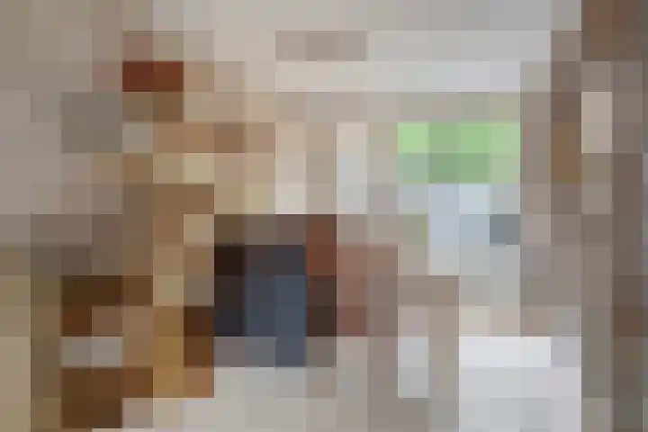 Goethelaan 23 Venlo thumbnail 7