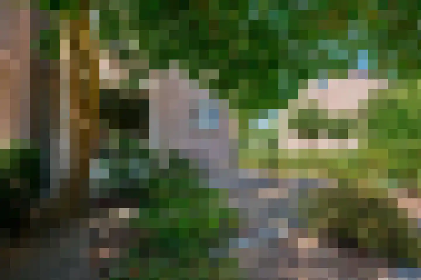 Goethelaan 41 Venlo thumbnail 34