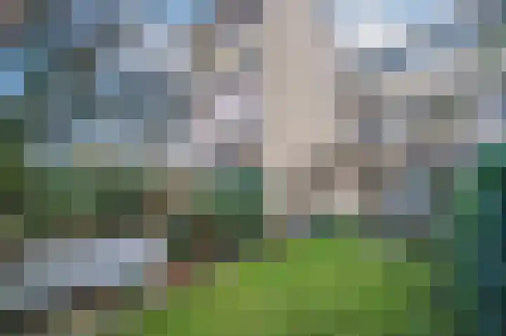 Goethelaan 6 Venlo thumbnail 33