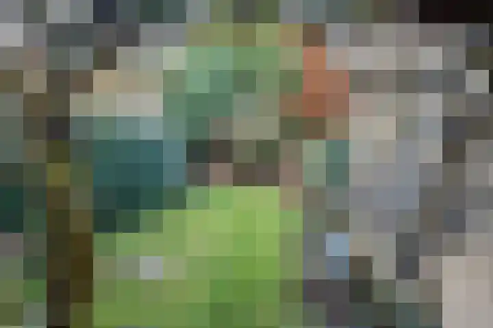 Goethelaan 6 Venlo thumbnail 37