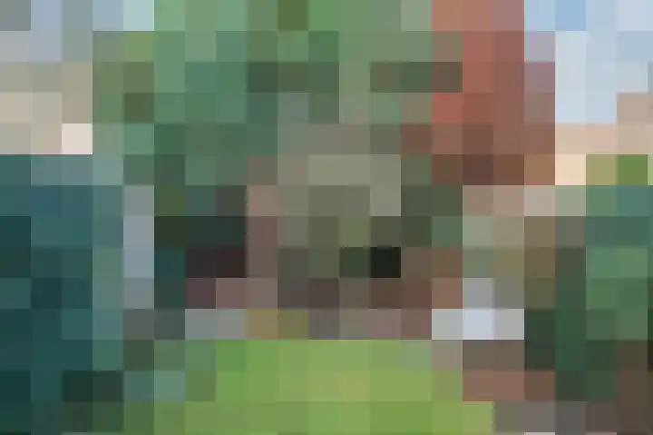 Goethelaan 6 Venlo thumbnail 38