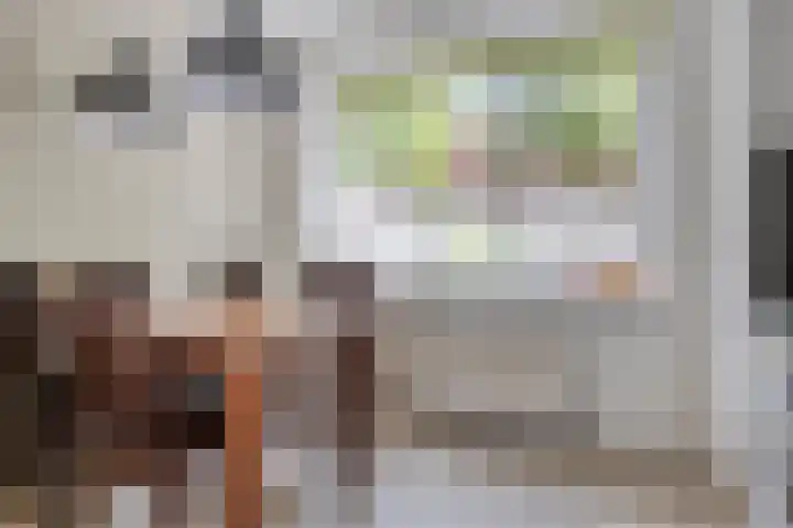 Goethesingel 27 Zutphen thumbnail 10