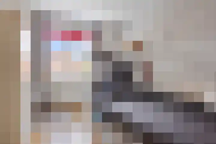 Goethesingel 27 Zutphen thumbnail 14