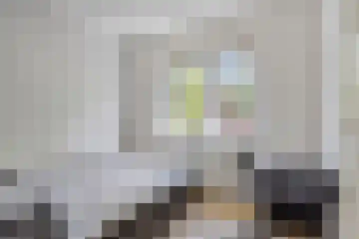Goethesingel 27 Zutphen thumbnail 15