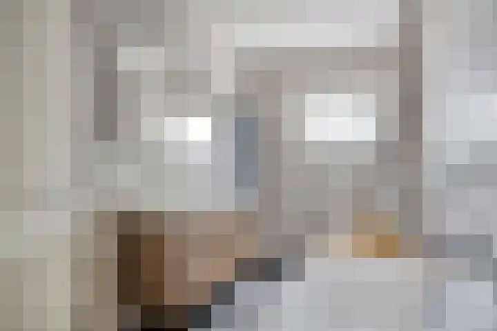 Goethesingel 27 Zutphen thumbnail 16