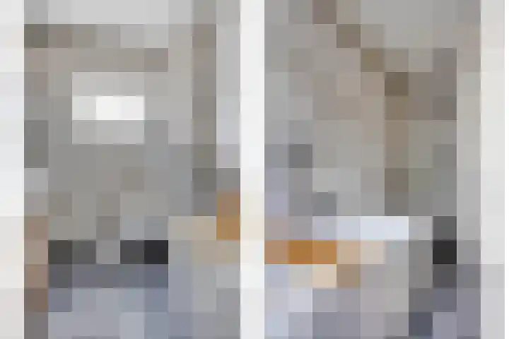 Goethesingel 27 Zutphen thumbnail 17