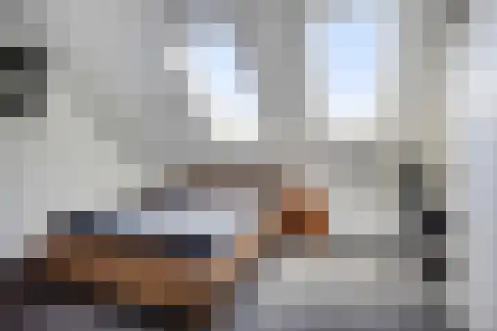 Goethesingel 27 Zutphen thumbnail 18