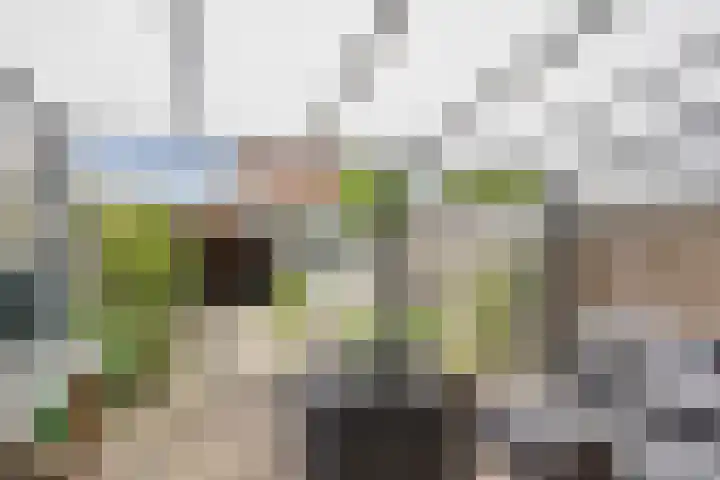 Goethesingel 27 Zutphen thumbnail 19