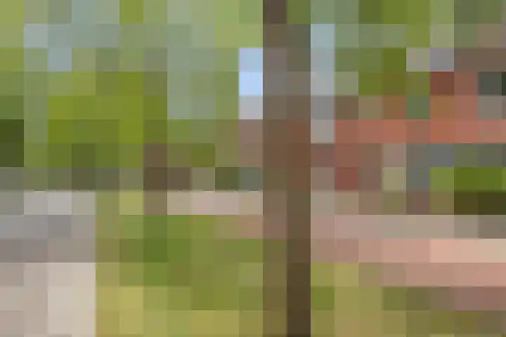 Goethesingel 27 Zutphen thumbnail 21