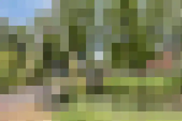 Goethesingel 27 Zutphen thumbnail 24