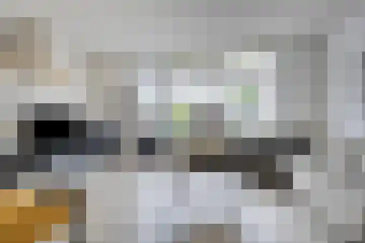 Goethesingel 27 Zutphen thumbnail 4