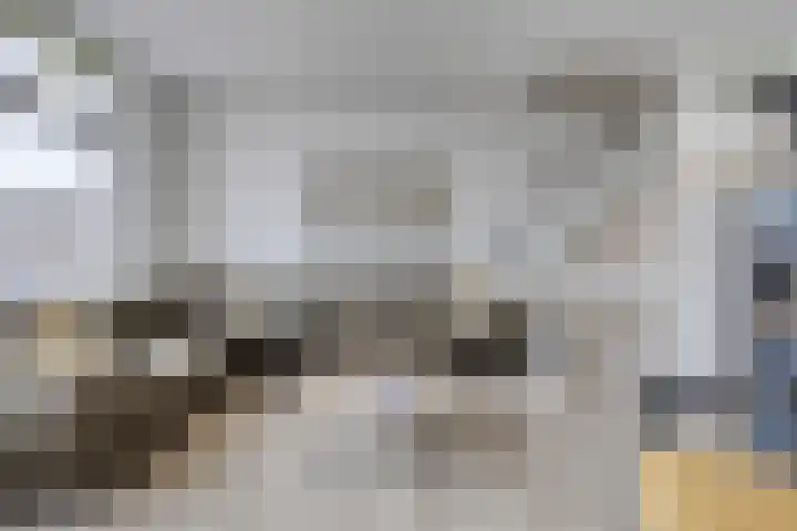 Goethesingel 27 Zutphen thumbnail 5