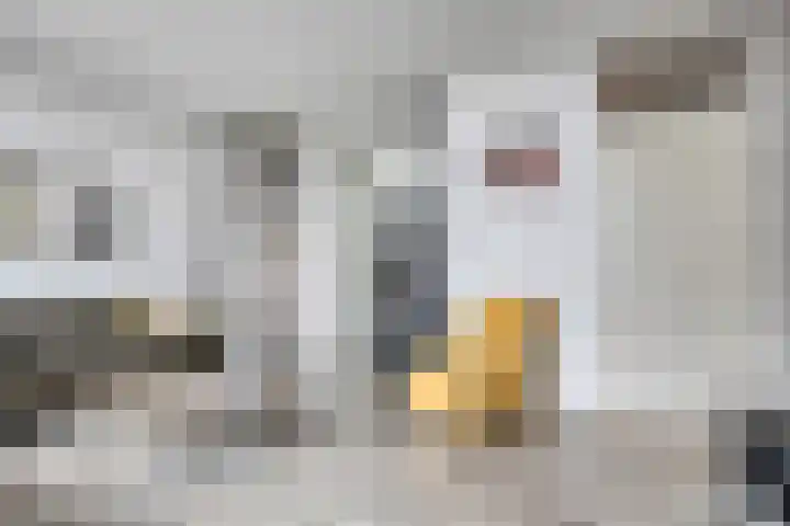 Goethesingel 27 Zutphen thumbnail 6