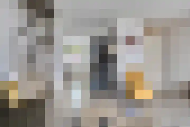 Goethesingel 27 Zutphen thumbnail 8