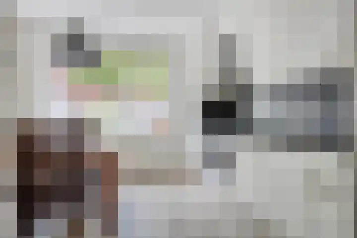 Goethesingel 27 Zutphen thumbnail 9