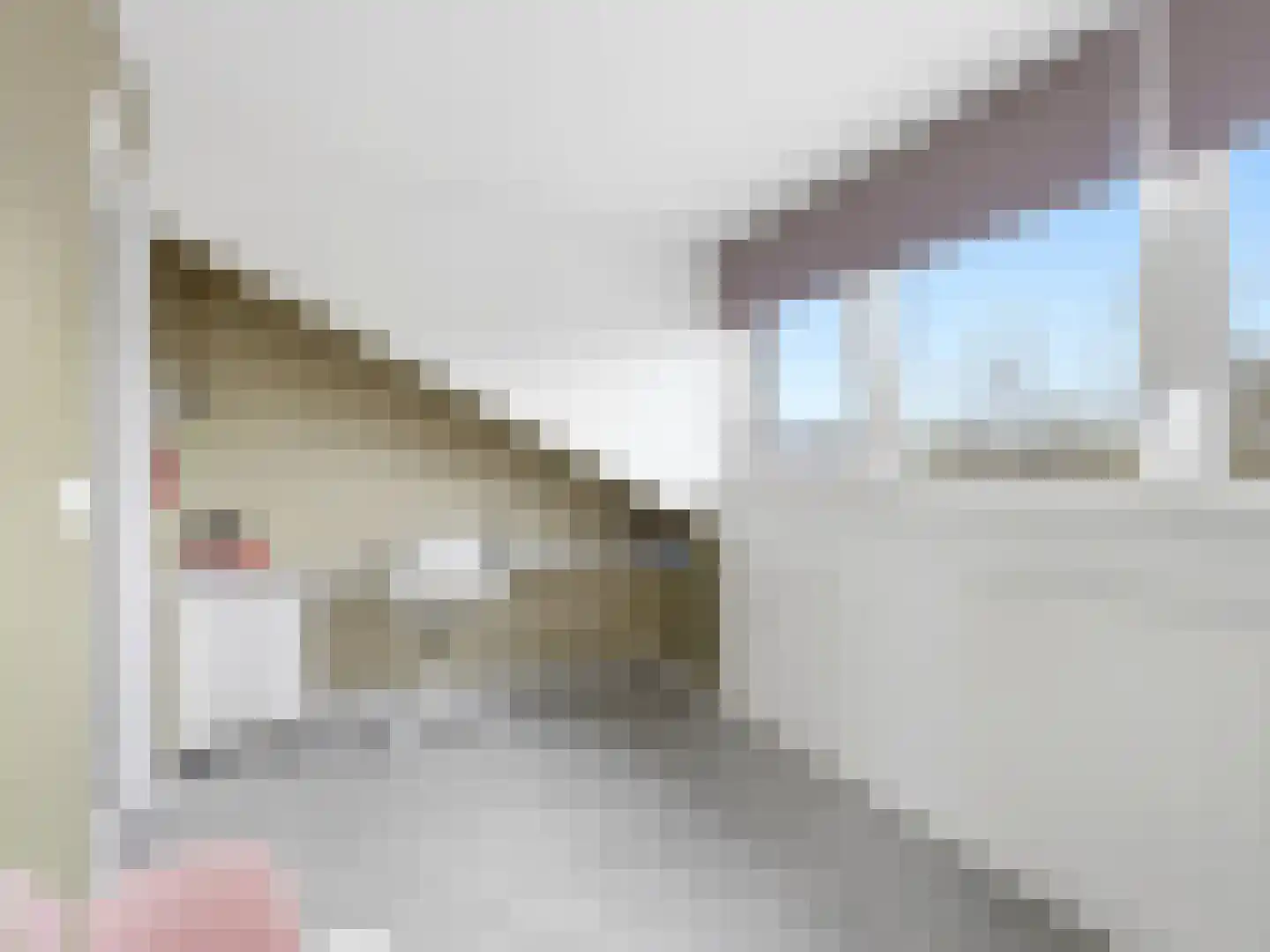 Goethesingel 86 Zutphen thumbnail 24