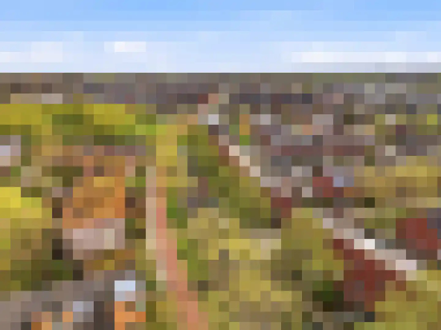 Goethesingel 86 Zutphen thumbnail 37