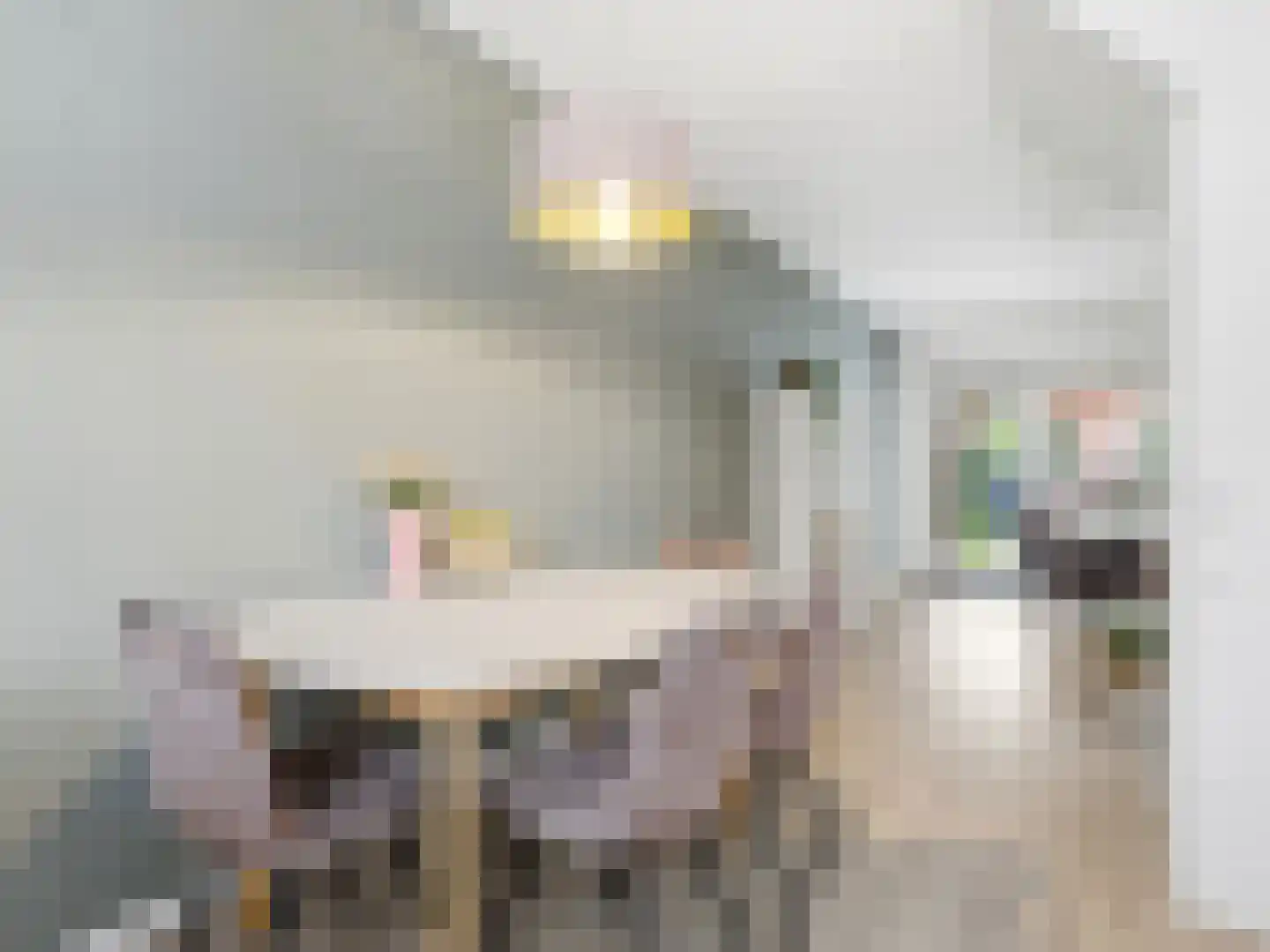 Goethesingel 86 Zutphen thumbnail 6