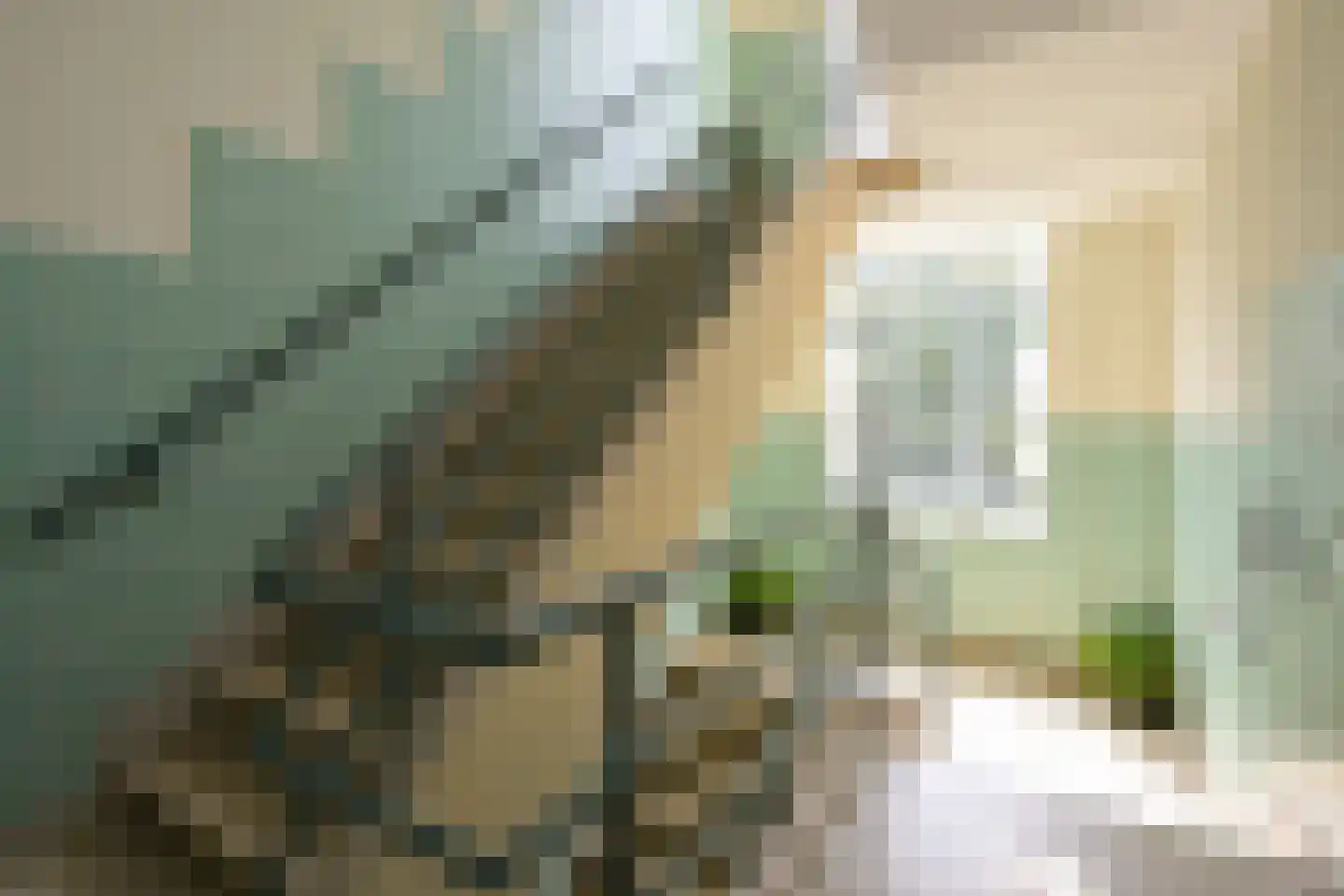 Goetlijfstraat 122 Den Haag thumbnail 9