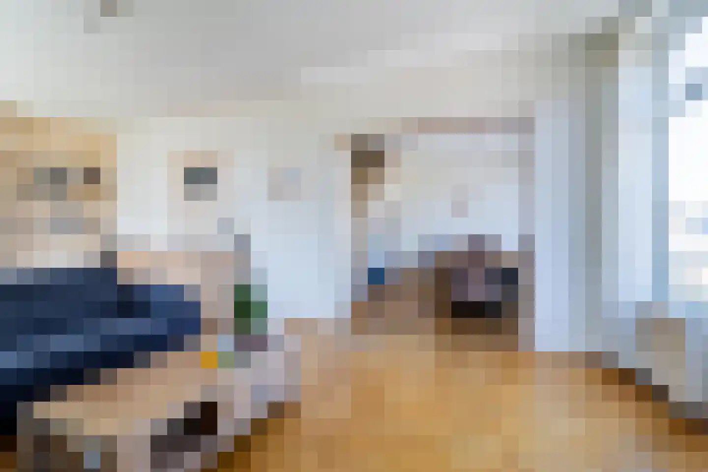 Goetlijfstraat 86 Den Haag thumbnail 15