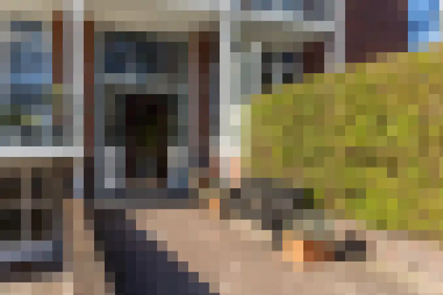 Goetlijfstraat 86 Den Haag thumbnail 4