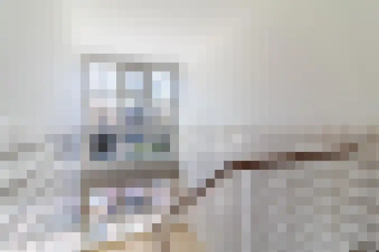 Goetlijfstraat 86 Den Haag thumbnail 5