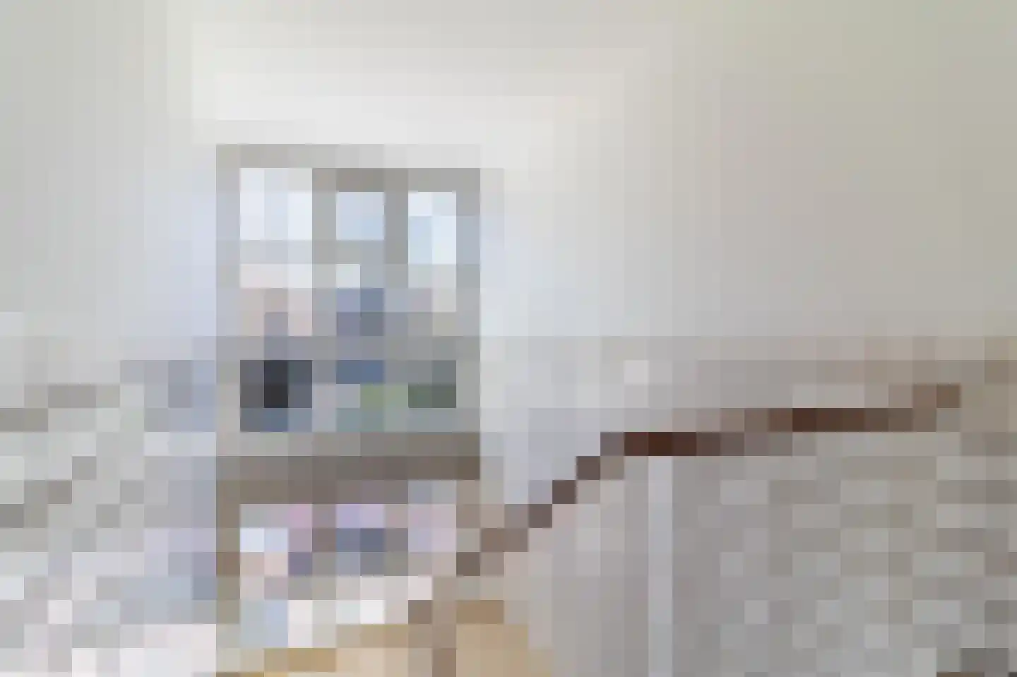 Goetlijfstraat 86 Den Haag thumbnail 5