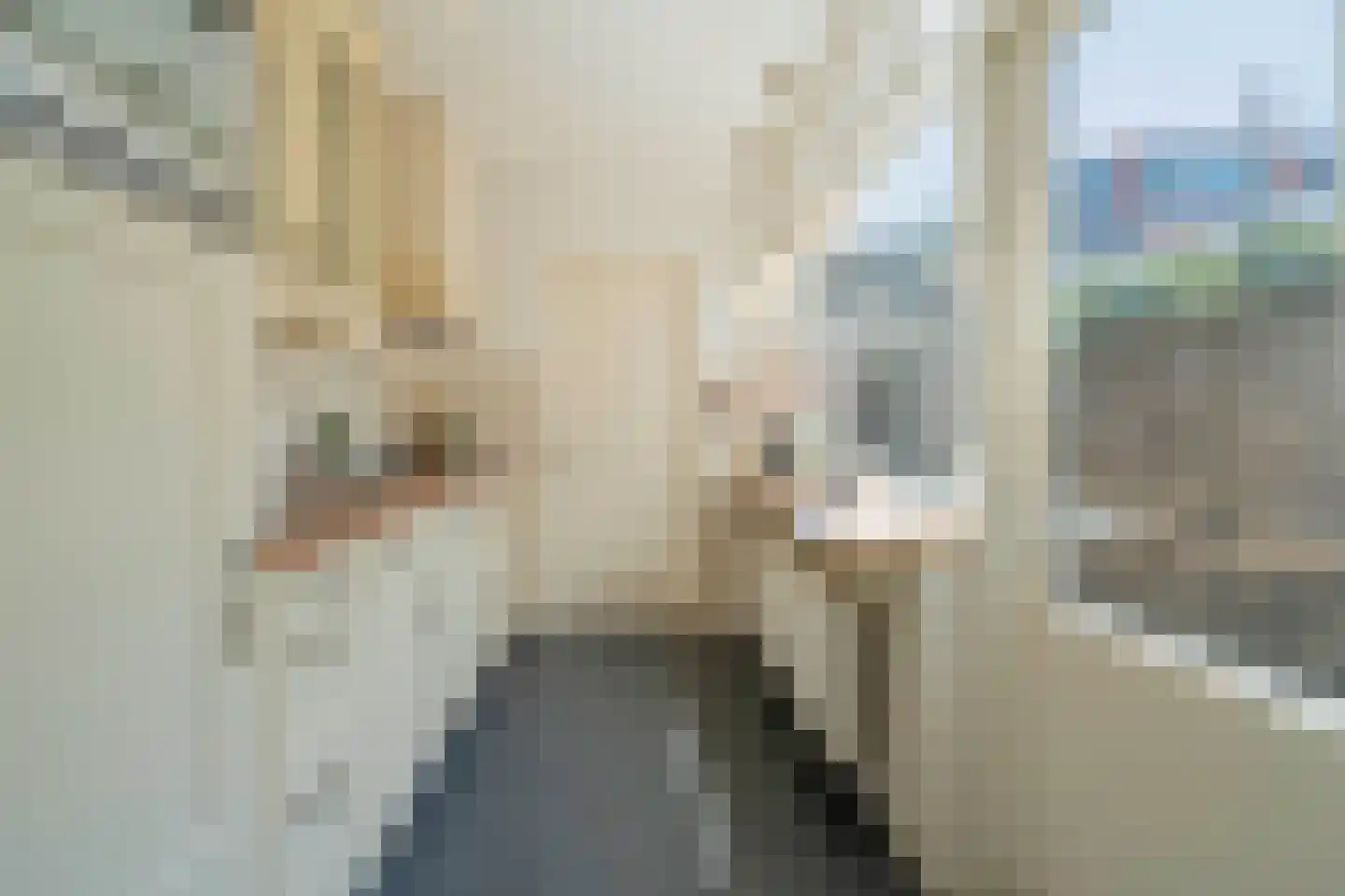Goetzeestraat 30 Haarlem thumbnail 20