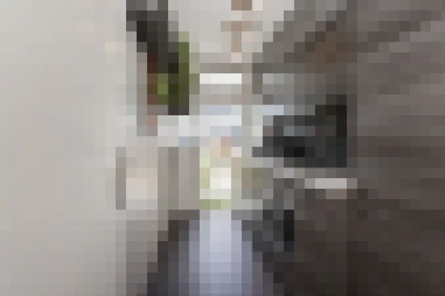 Goeverneurkade 24 Voorburg thumbnail 11