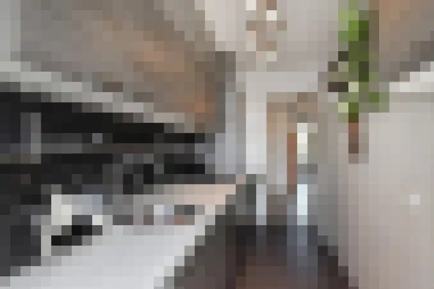 Goeverneurkade 24 Voorburg thumbnail 12