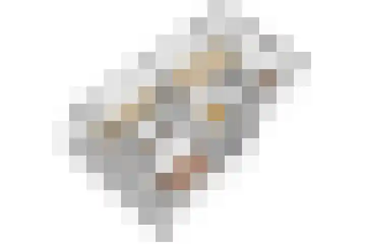 Goeverneurkade 31 Voorburg thumbnail 35