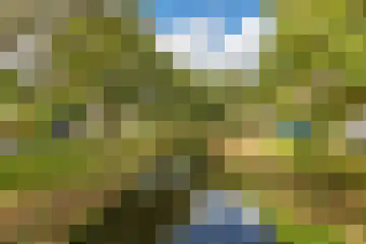 Goeverneurkade 31 Voorburg thumbnail 39