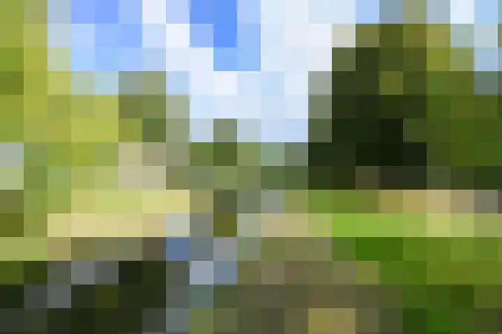 Goeverneurkade 41 Voorburg thumbnail 43