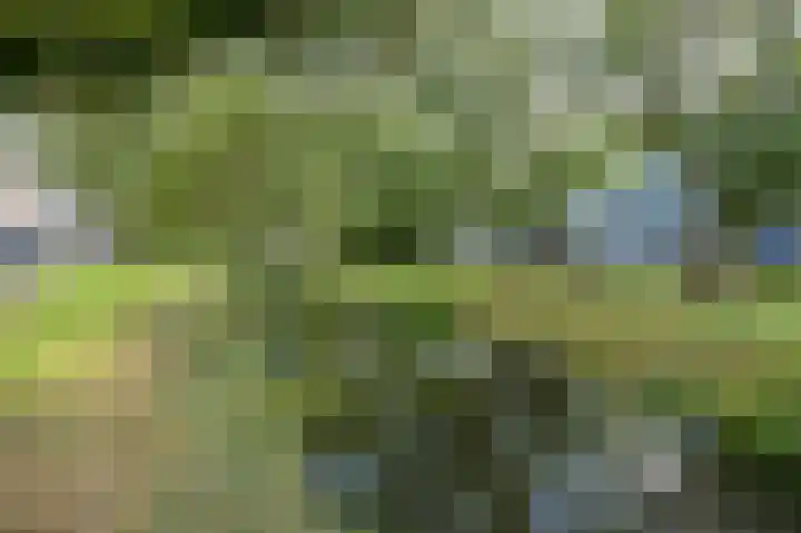 Goeverneurkade 41 Voorburg thumbnail 45