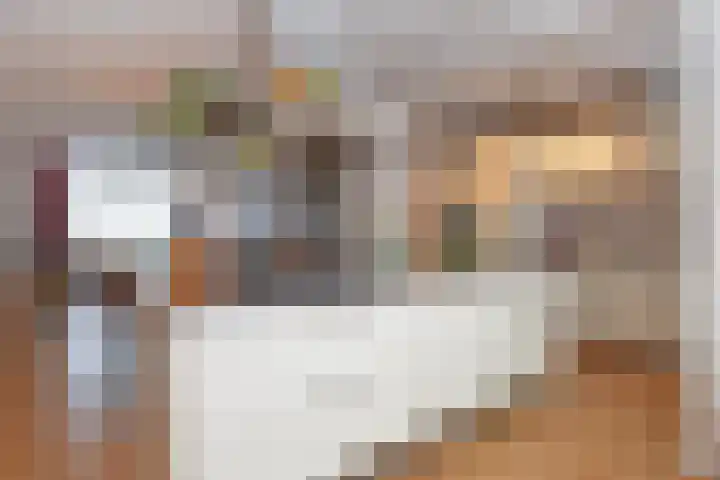Goeverneurkade 80 Voorburg thumbnail 14