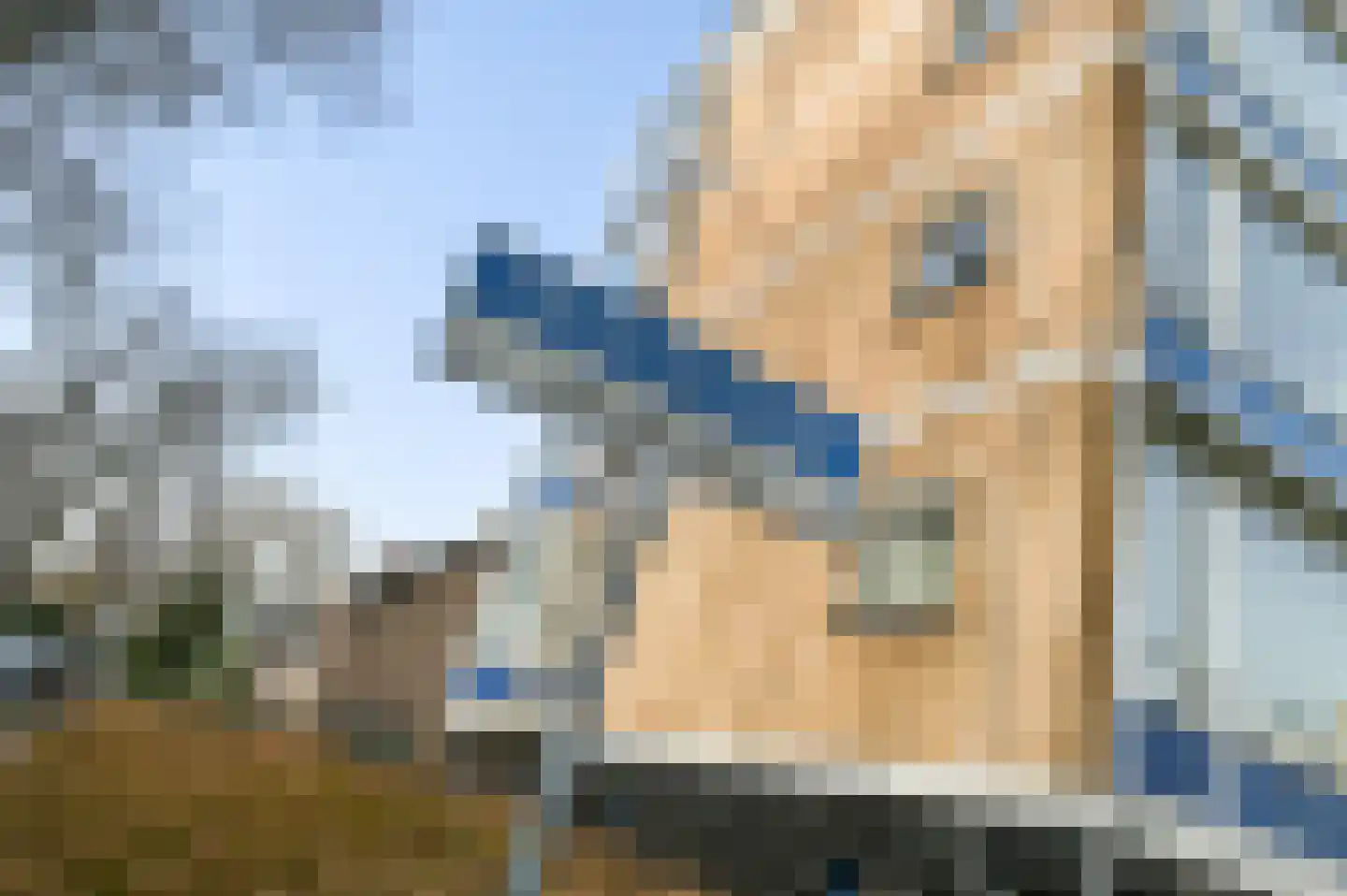 Goeverneurkade 83 Voorburg thumbnail 5