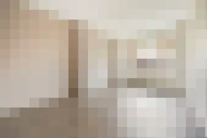 Goeverneurlaan 184 Den Haag thumbnail 12