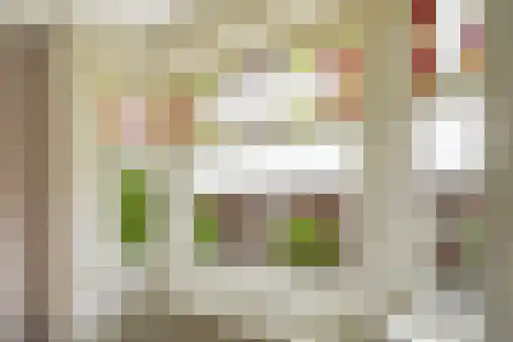 Goeverneurlaan 184 Den Haag thumbnail 14