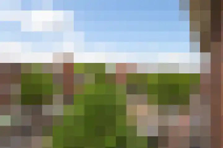 Goeverneurlaan 184 Den Haag thumbnail 17