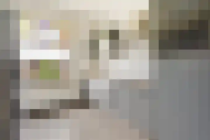 Goeverneurlaan 184 Den Haag thumbnail 19