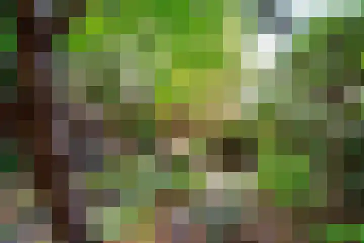 Goeverneurlaan 186 Den Haag thumbnail 17