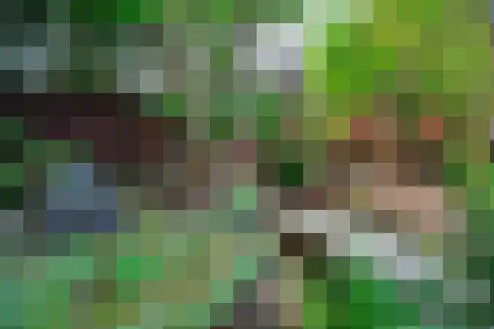 Goeverneurlaan 186 Den Haag thumbnail 18