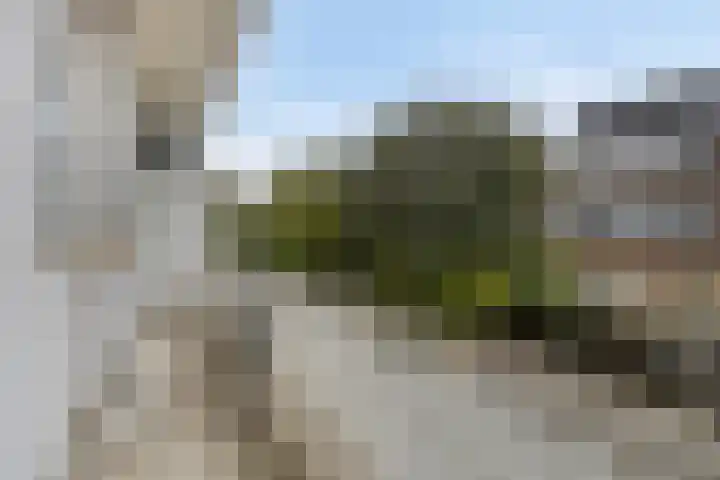 Goeverneurlaan 192 Den Haag thumbnail 11